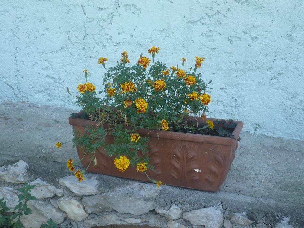 Appartamento Michela Brenzone sul Garda Bilik gambar